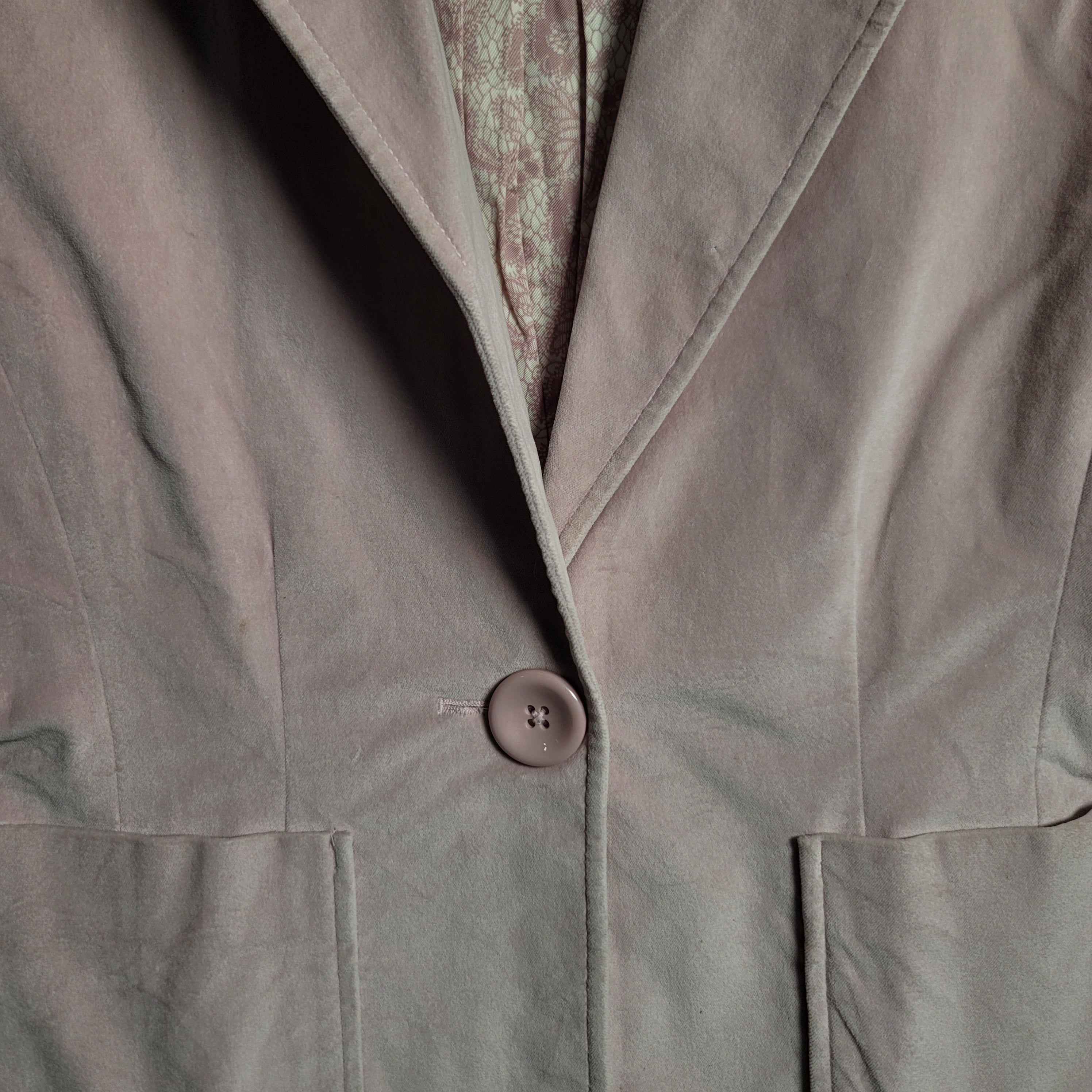 Women's GAP Long Sleeve One Button Notch Collared Pink Velvet Blazer Jacket